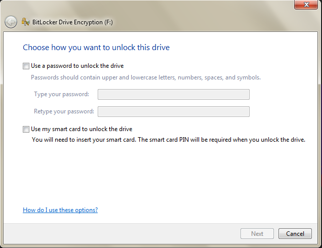 Bitlocker drive unlock menu.